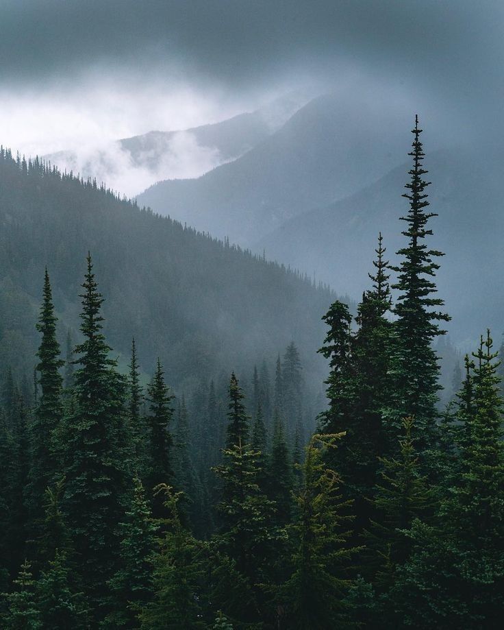 Прекрасный виз из окна